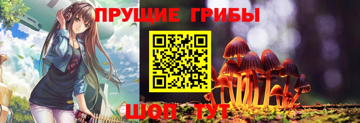 Псилоцибиновые грибы Psilocybe Острогожск